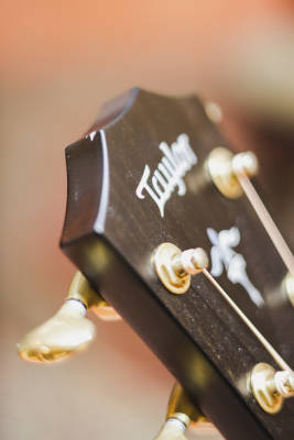 Taylor Guitars - 614CE WHB B.E. 3